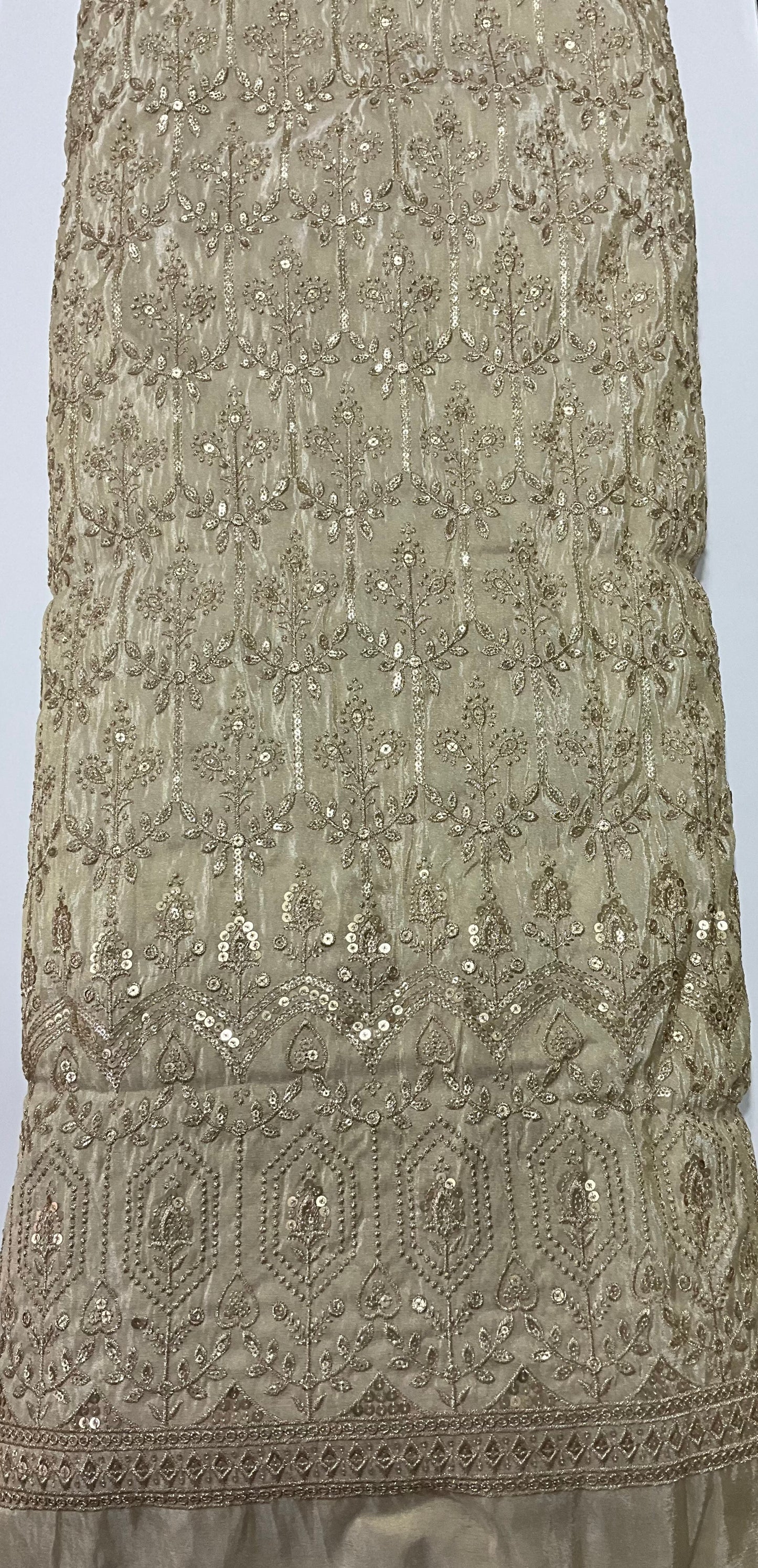 Georgette Tissue Zari Embroidery